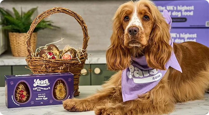 Dog-Friendly Easter Eggs